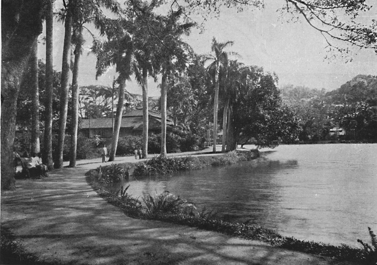 بحيرة كاندي ومحرك ، c1890 ، 1910 بواسطة لوحة ألفريد ويليام أماندوس