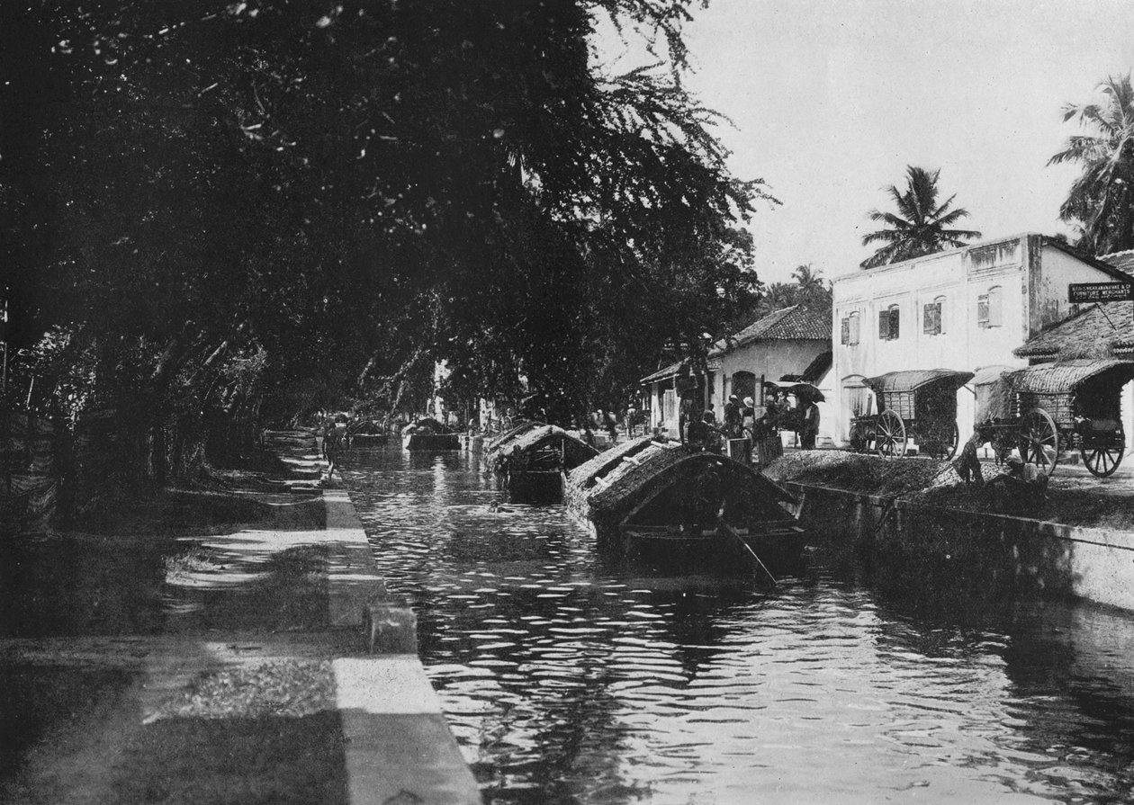 قناة نيجومبو ، عرض قوارب باددا ، c1890 ، 1910 بواسطة لوحة ألفريد ويليام أماندوس
