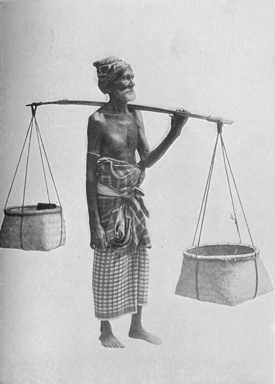 بينغو كاريير ، c1890 ، 1910 بواسطة لوحة ألفريد ويليام أماندوس