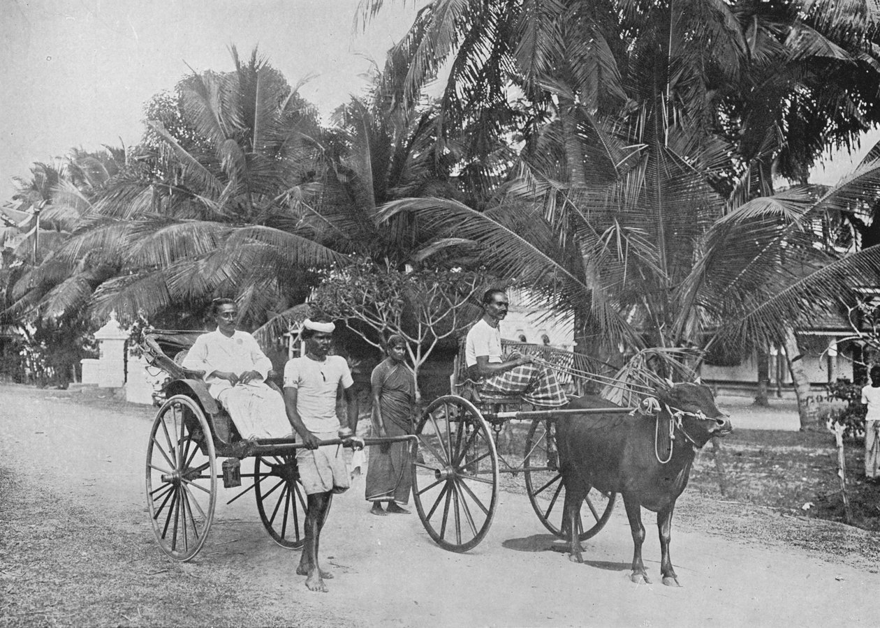 Rickshaw and Racing Hackery ، c1890 ، 1910 بواسطة لوحة ألفريد ويليام أماندوس