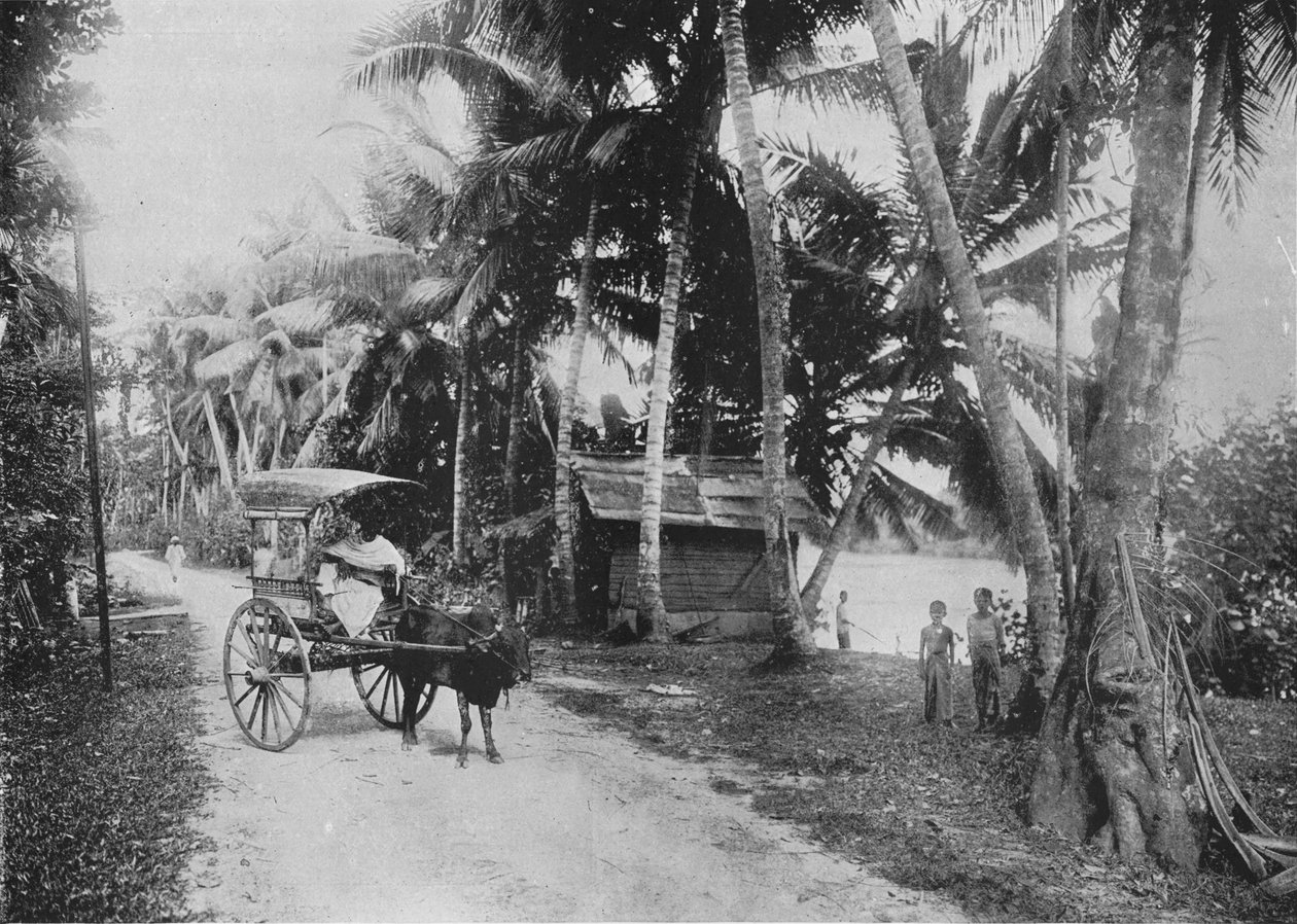 الطريق بجوار نهر كيلانيا ، c1890 ، 1910 بواسطة لوحة ألفريد ويليام أماندوس