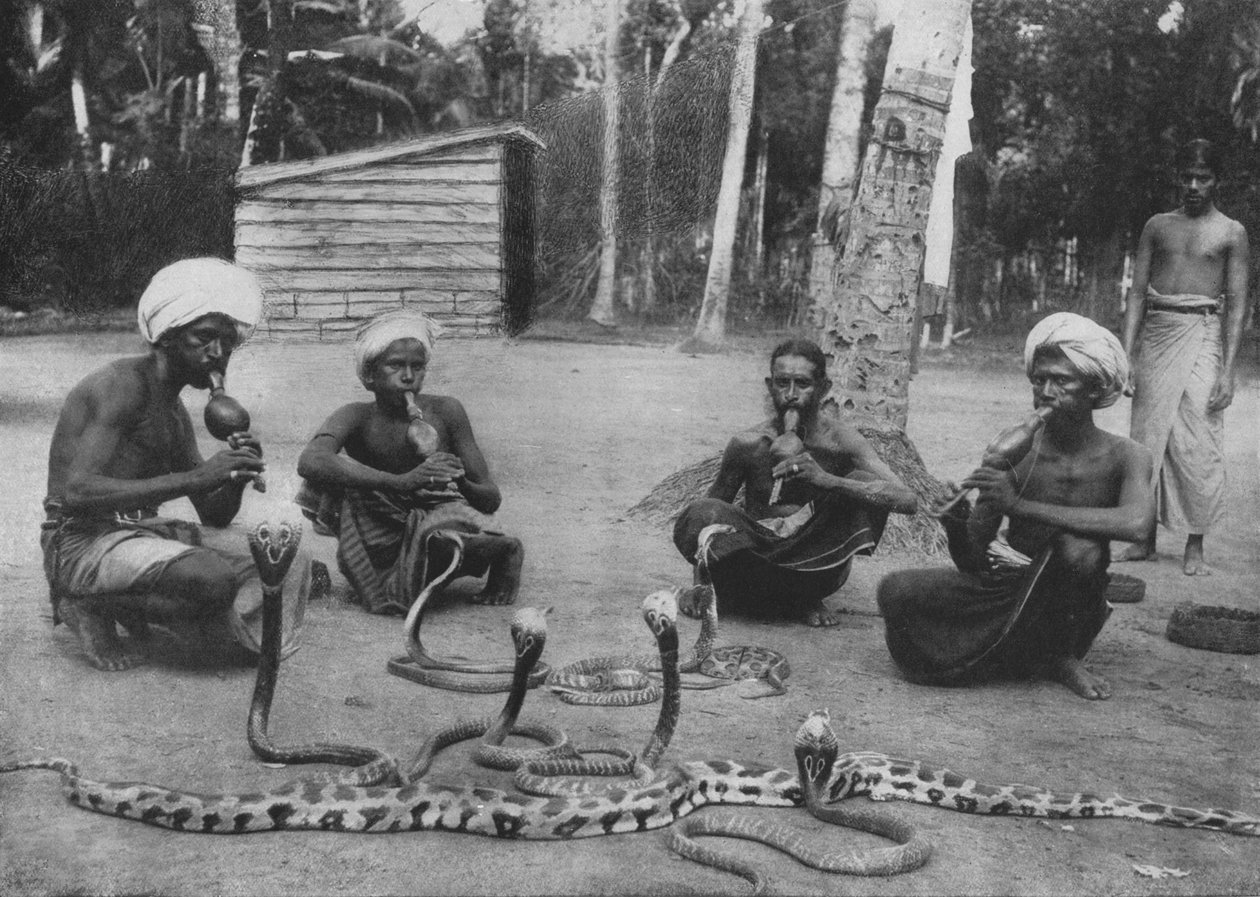 سحر الأفعى ، c1890 ، 1910 بواسطة لوحة ألفريد ويليام أماندوس