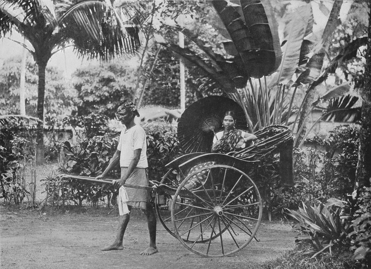 سيدة التاميل في ريكشاو ، c1890 ، 1910 بواسطة لوحة ألفريد ويليام أماندوس