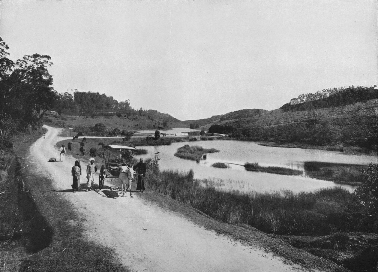 سهول القمر ، نوارا إليا ، c1890 ، 1910 بواسطة لوحة ألفريد ويليام أماندوس
