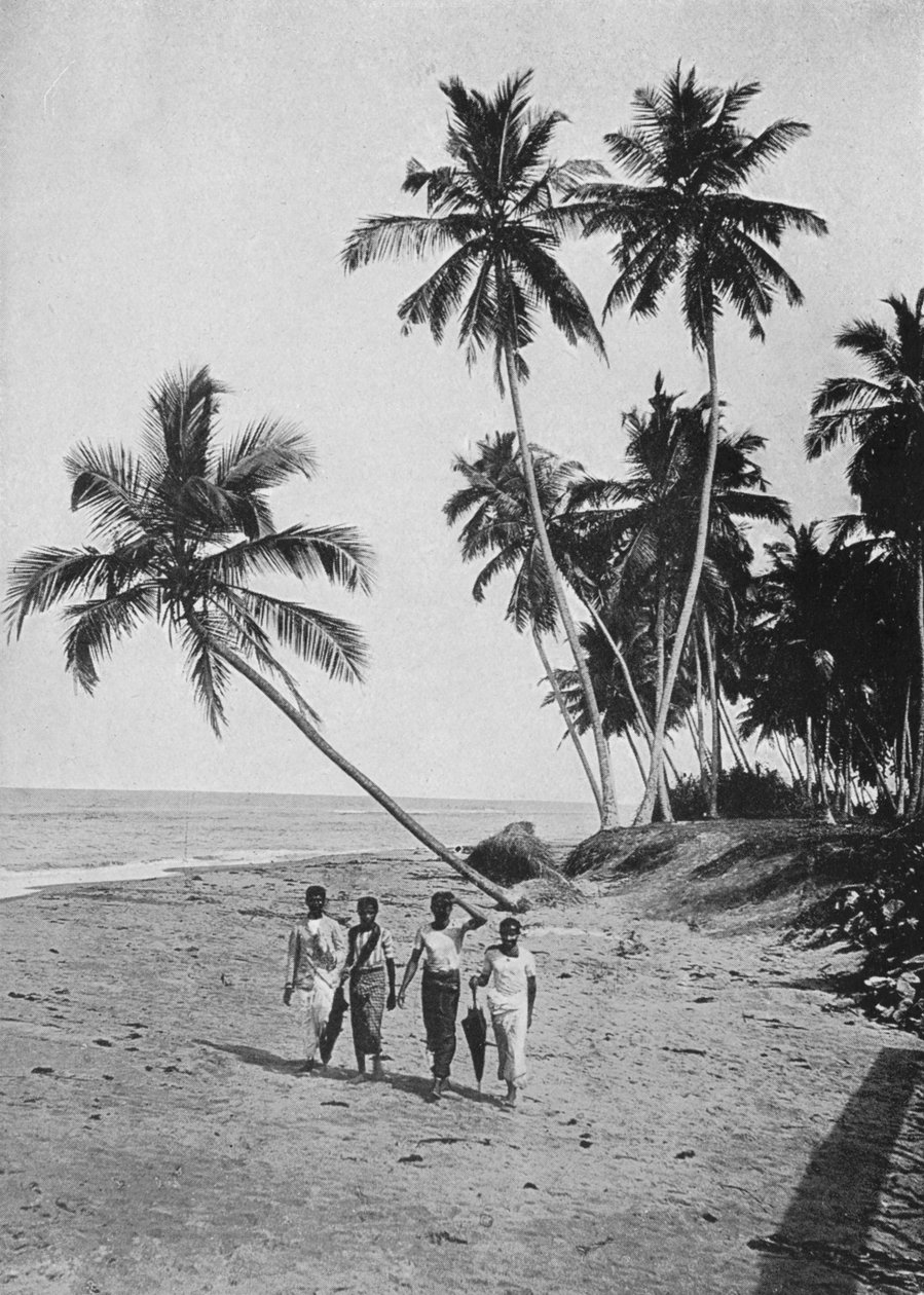 جانب البحر الفضي ، c1890 ، 1910 بواسطة لوحة ألفريد ويليام أماندوس