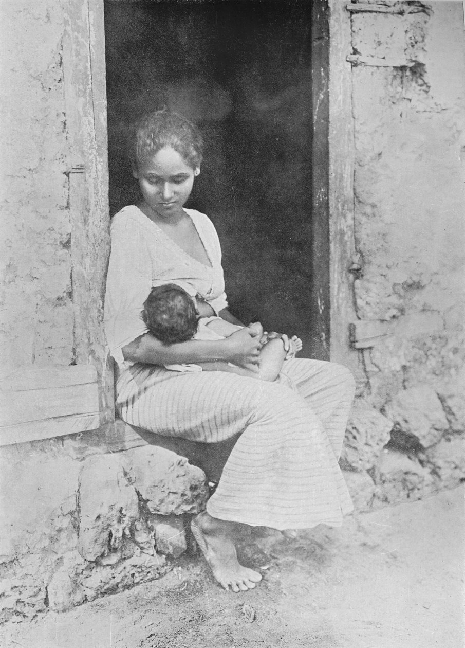 الحياة البسيطة ، c1890 ، 1910 بواسطة لوحة ألفريد ويليام أماندوس