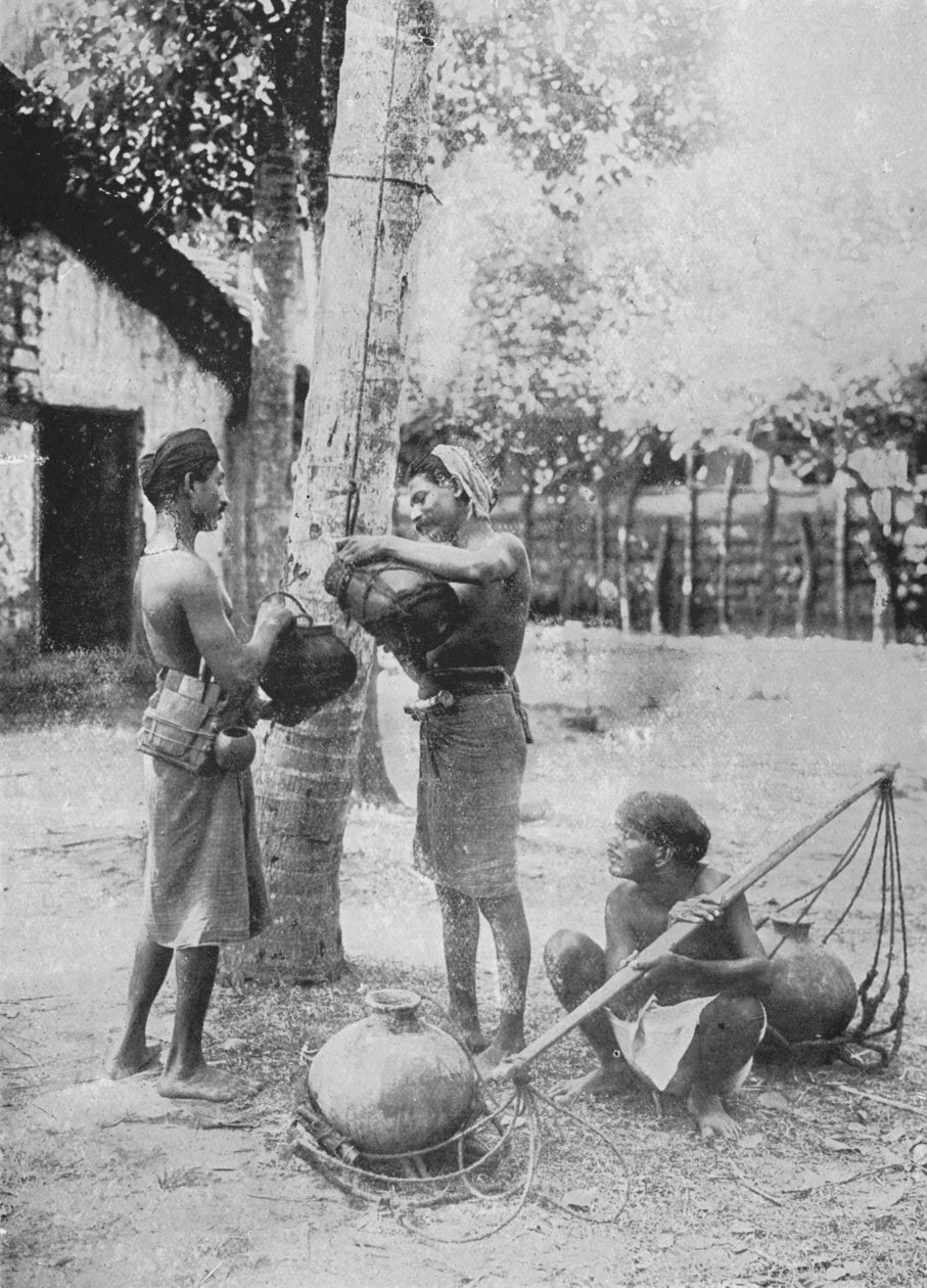 أدراج Toddy ، c1890 ، 1910 بواسطة لوحة ألفريد ويليام أماندوس