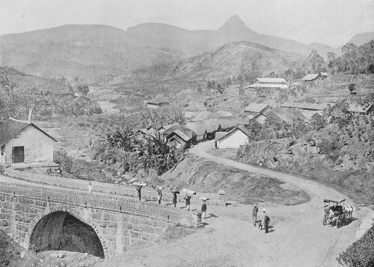 منظر لمسكليا يظهر قمة آدامز ، c1890 ، 1910 بواسطة لوحة ألفريد ويليام أماندوس
