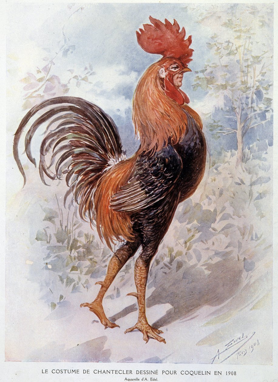 زي الديك من Chantecler المصمم لـ Constant Poppy في عام 1908 ، قطعة شعرية من إدموند روستاند بواسطة ألفريدو إديل