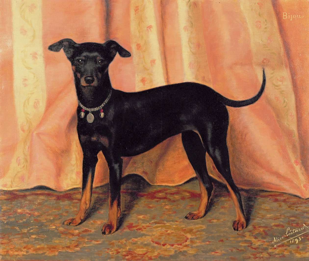 دراسة Bijou ، Bichon Terrier ، 1893 بواسطة أليس يوتار