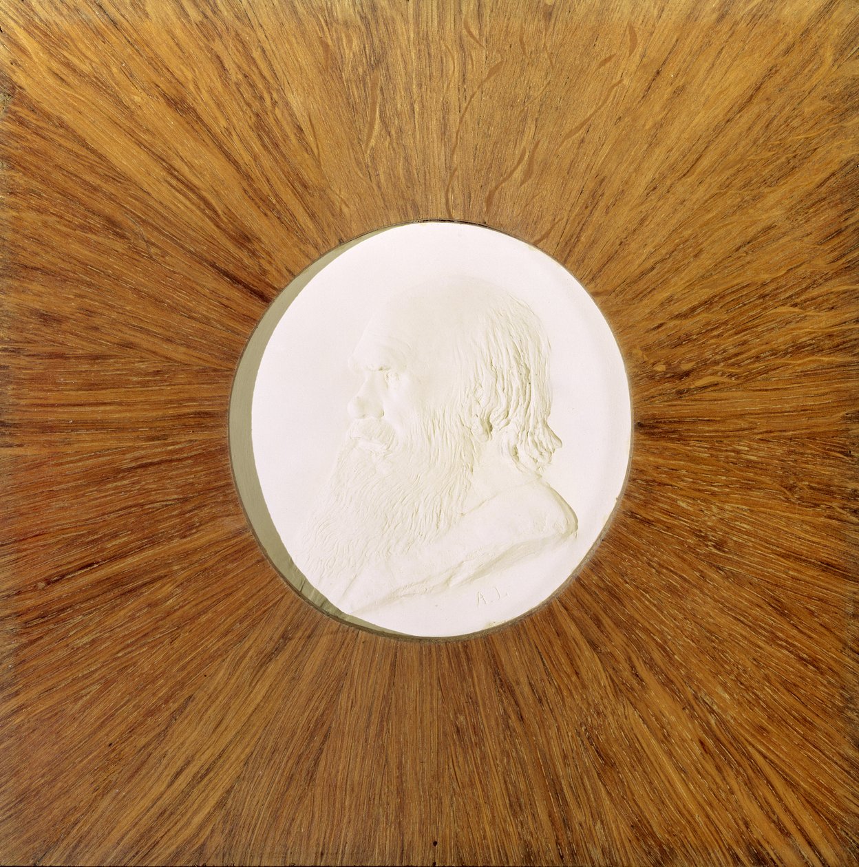تشارلز داروين (1809-82) c.1881 (الإغاثة الجصية) بواسطة ألفونس ليجروس
