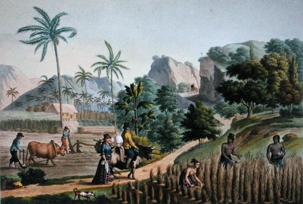 جزيرة غوام: الأعمال الزراعية ، من "Voyage Autour du Monde sur les Corvettes de L'Uranie 1817-20" محفور بواسطة بوميل ، نُشر عام 1825 (نقش) بواسطة ألفونس (بعد) بيليون