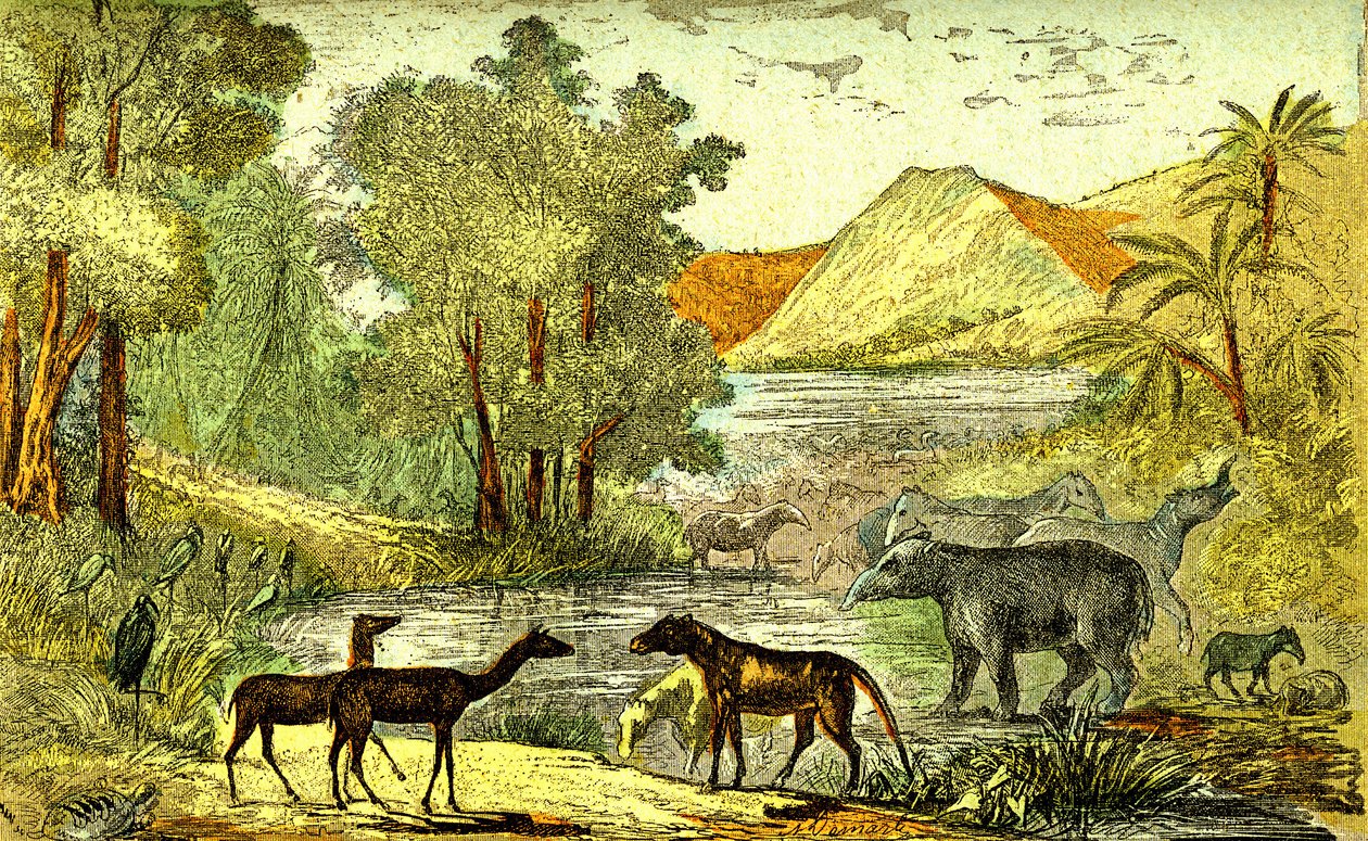 عصور ما قبل التاريخ – فترة الإيوسين: من اليمين إلى اليسار: Paloeotherium، Anoplotherium، Xiphodonts وطيور التنتالوس. الخلق الطبيعي والكائنات الحية. رسم أ. ديمارل. 1885 بواسطة ألفونس ديمارلي