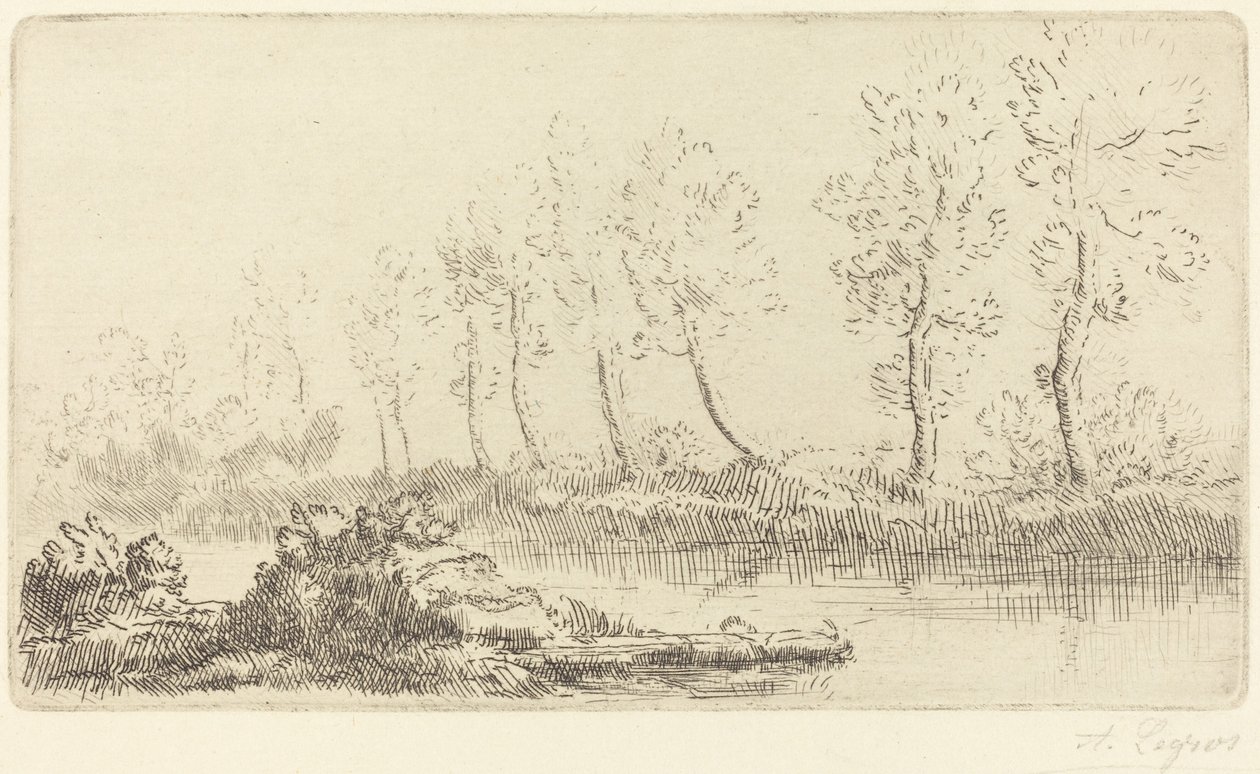 ضفاف نهر Adour Bord de l'Adour. بواسطة ألفونس ليجروس