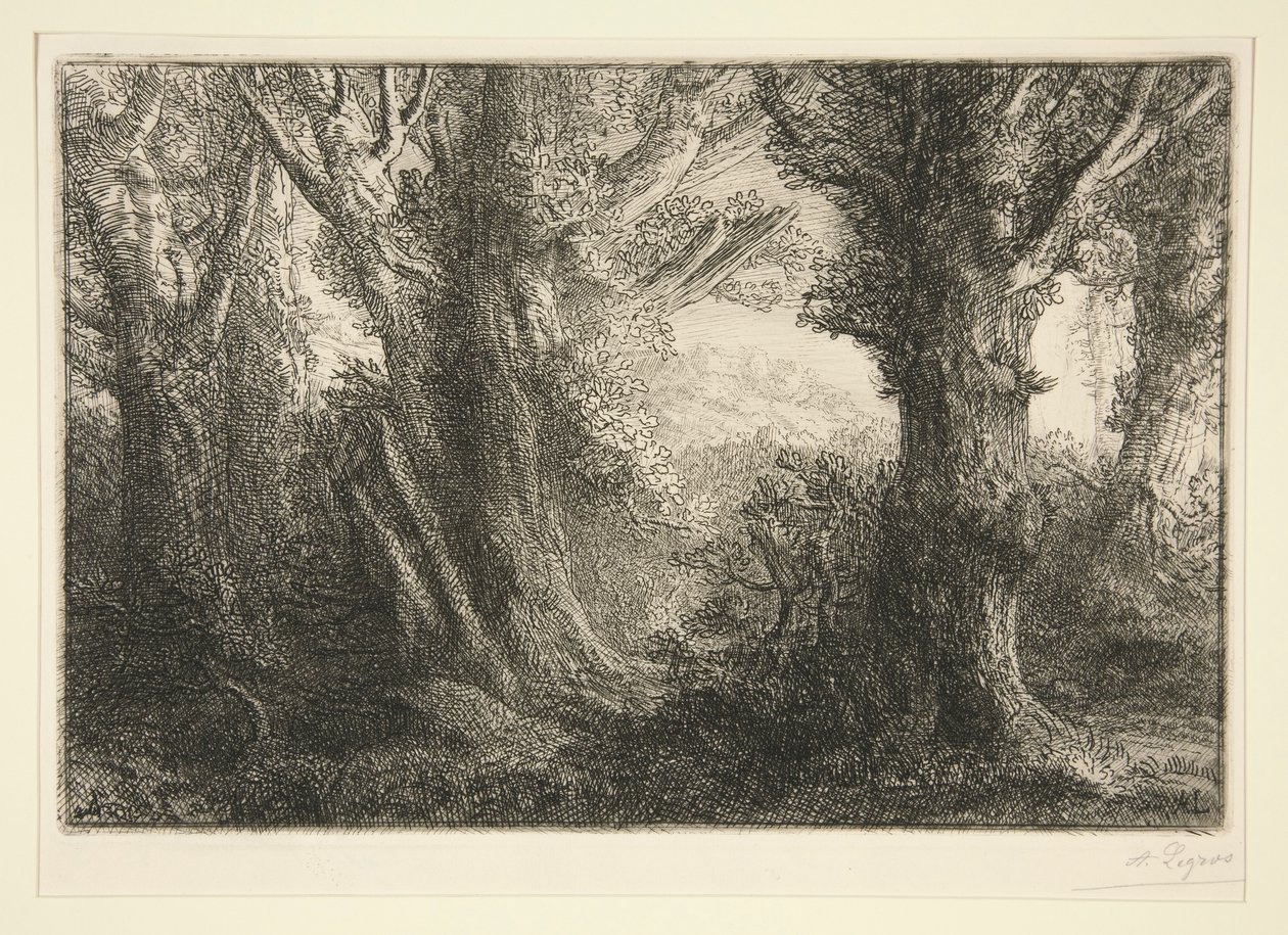 Dans la foret de Conteville (In the Forest of Conteville) بواسطة ألفونس ليجروس