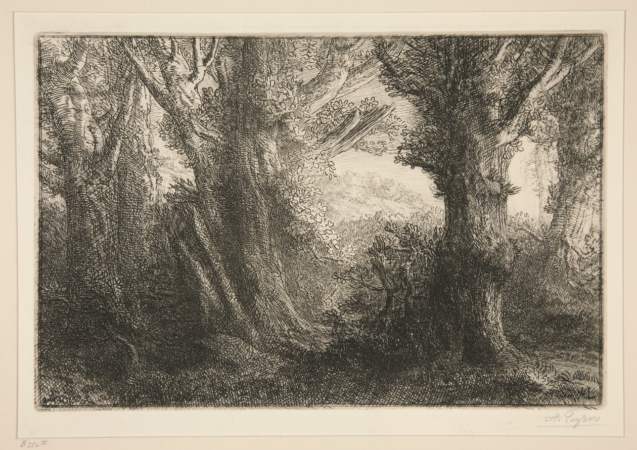 Dans la foret de Conteville (In the Forest of Conteville0 بواسطة ألفونس ليجروس