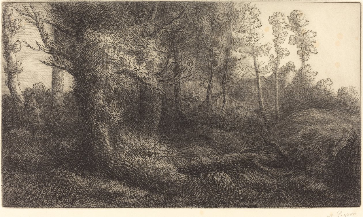 في الغابة (Lisiere de foret) بواسطة ألفونس ليجروس