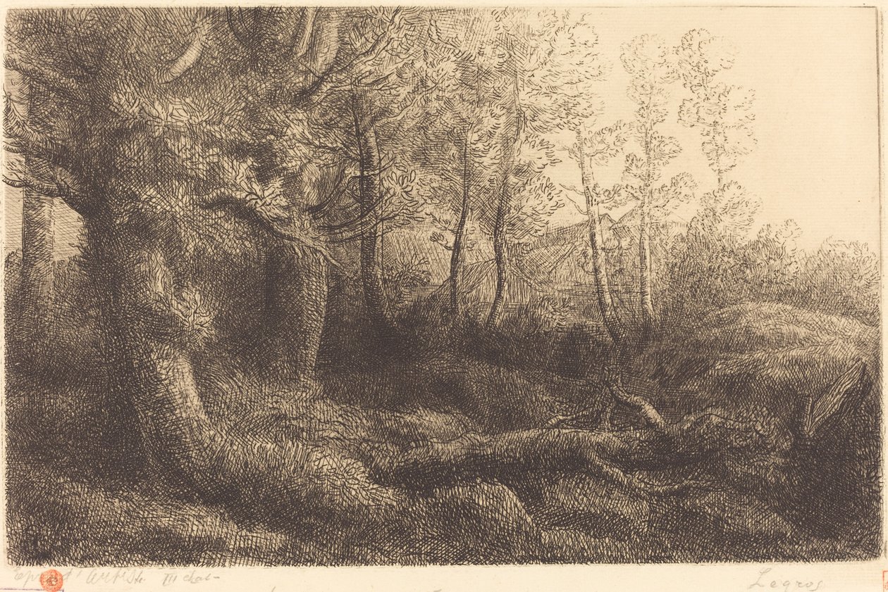 في الغابة (Lisiere de foret) بواسطة ألفونس ليجروس