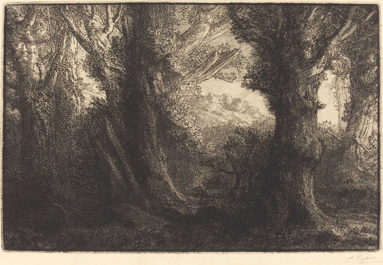 في غابة كونتفيل (Dans la foret de Conteville) بواسطة ألفونس ليجروس