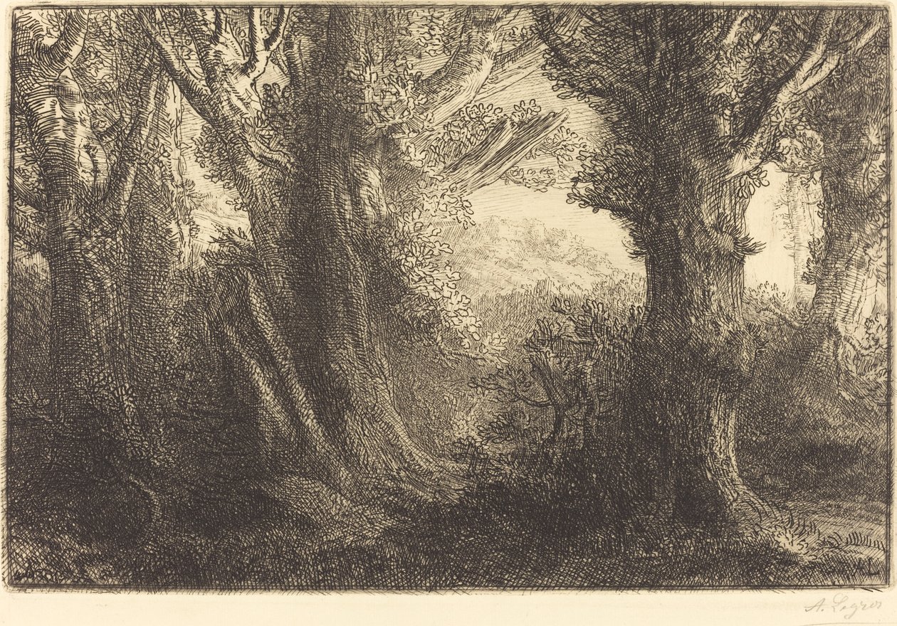 في غابة Conteville Dans la foret de Conteville. بواسطة ألفونس ليجروس