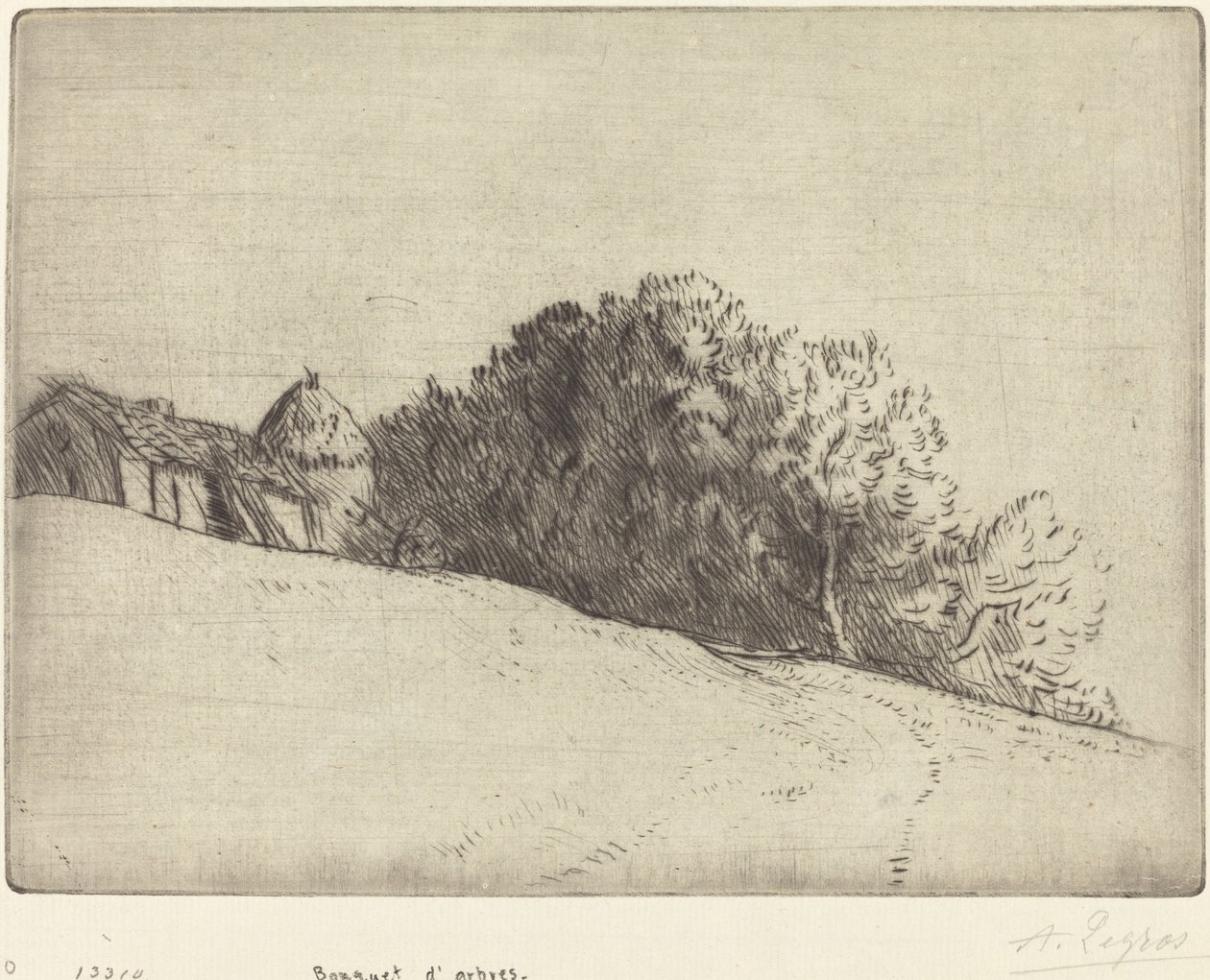 Stand of Trees (Bouquet d'arbres) بواسطة ألفونس ليجروس