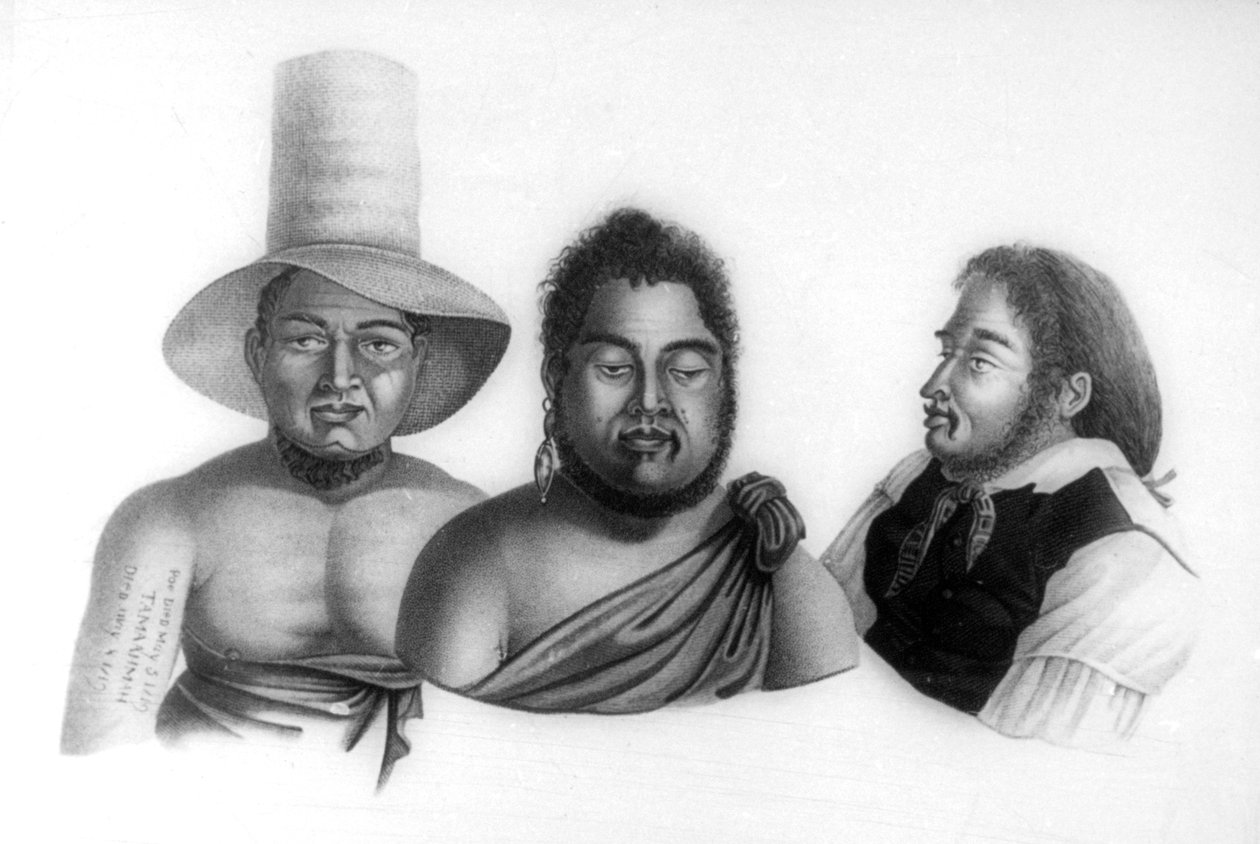 صور لرؤساء جزر ساندويتش ، 1819. بواسطة ألفونس بيليون