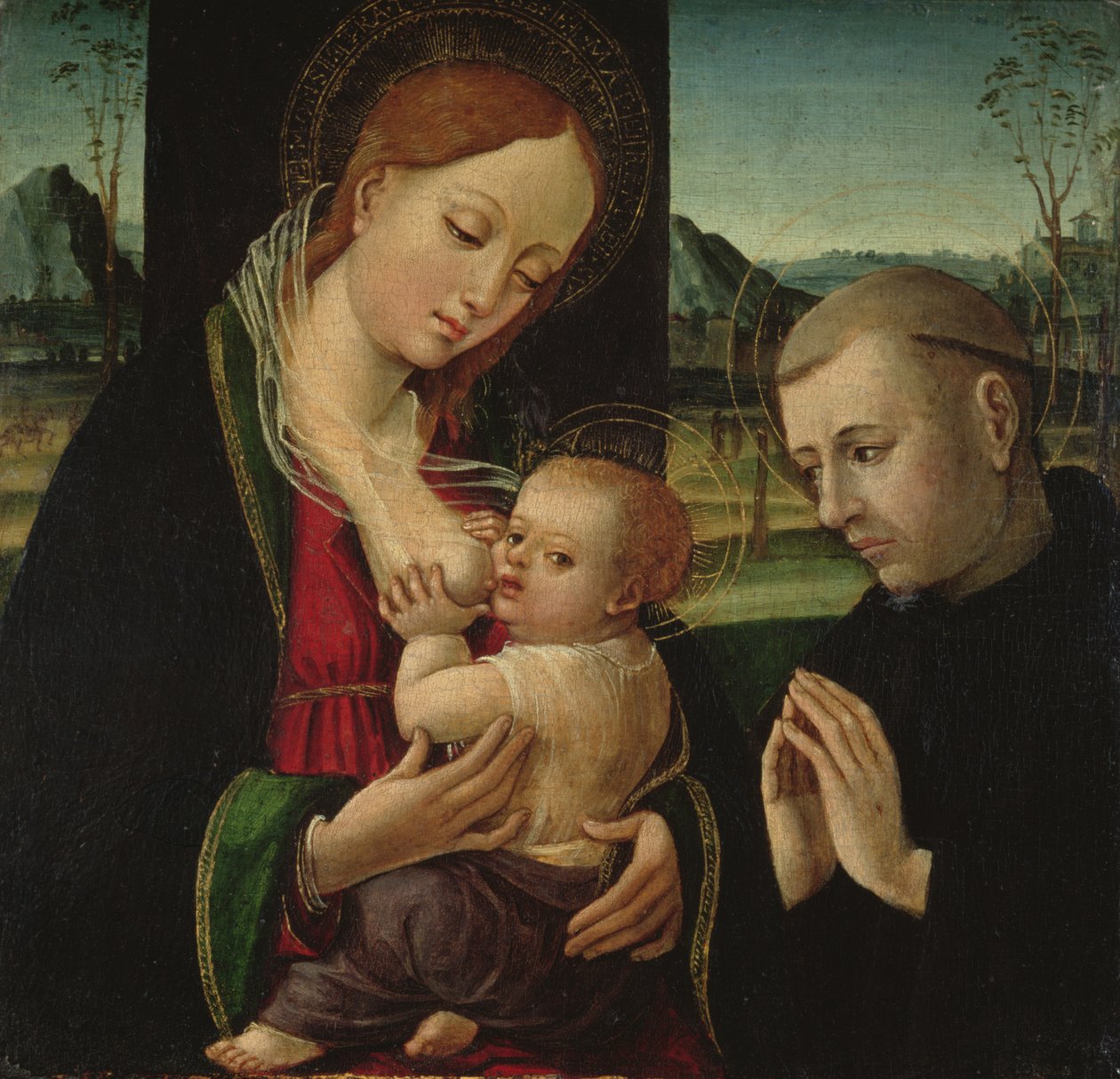 مادونا تطعم الطفل المسيح ، c.1500-30 بواسطة أمبروجيو بيرجوجنون