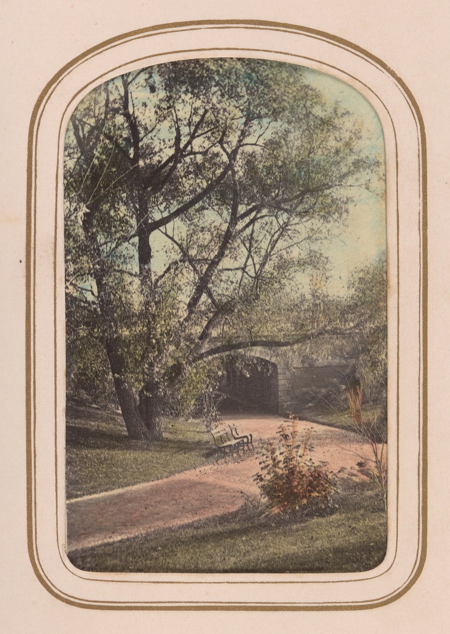 ألبوم Carte-de-visite الخاص بـ Central Park Views ، ستينيات القرن التاسع عشر. بواسطة أمبروز جاكسون