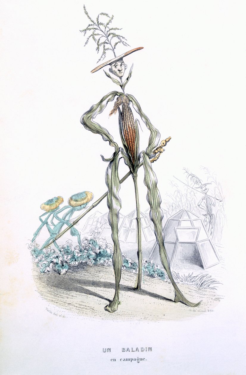 عربة البلد ، من "L&39;Empire des Legumes ، Memoires de Curcurbitus" بواسطة Eugene Nus and Meray Antoine ، 1851 (نقش الألوان) بواسطة أميدي فارين