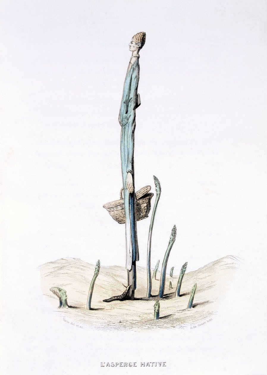 The Hasty Asparagus، from &39;L&39;Empire des Legumes، Memoires de Curcurbitus&39; by Eugene Nus and Meray Antoine، 1851 (نقش الألوان) بواسطة أميدي فارين