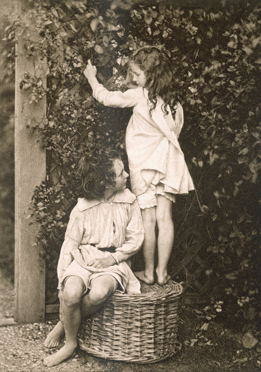 الحديقة الصيفية ، من Sun Artists: A Serial of Artistic Photography ، نشرها Kegan Paul ، Trench Trubner ، لندن ، 1889-1891 بواسطة مصور أمريكي