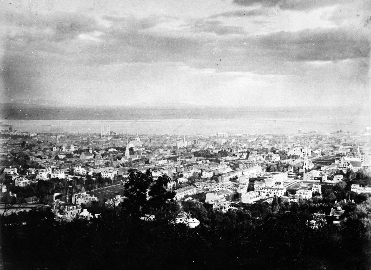 منظر لمونتريال من جبل رويال بارك ، 1860-90 بواسطة مصور أمريكي