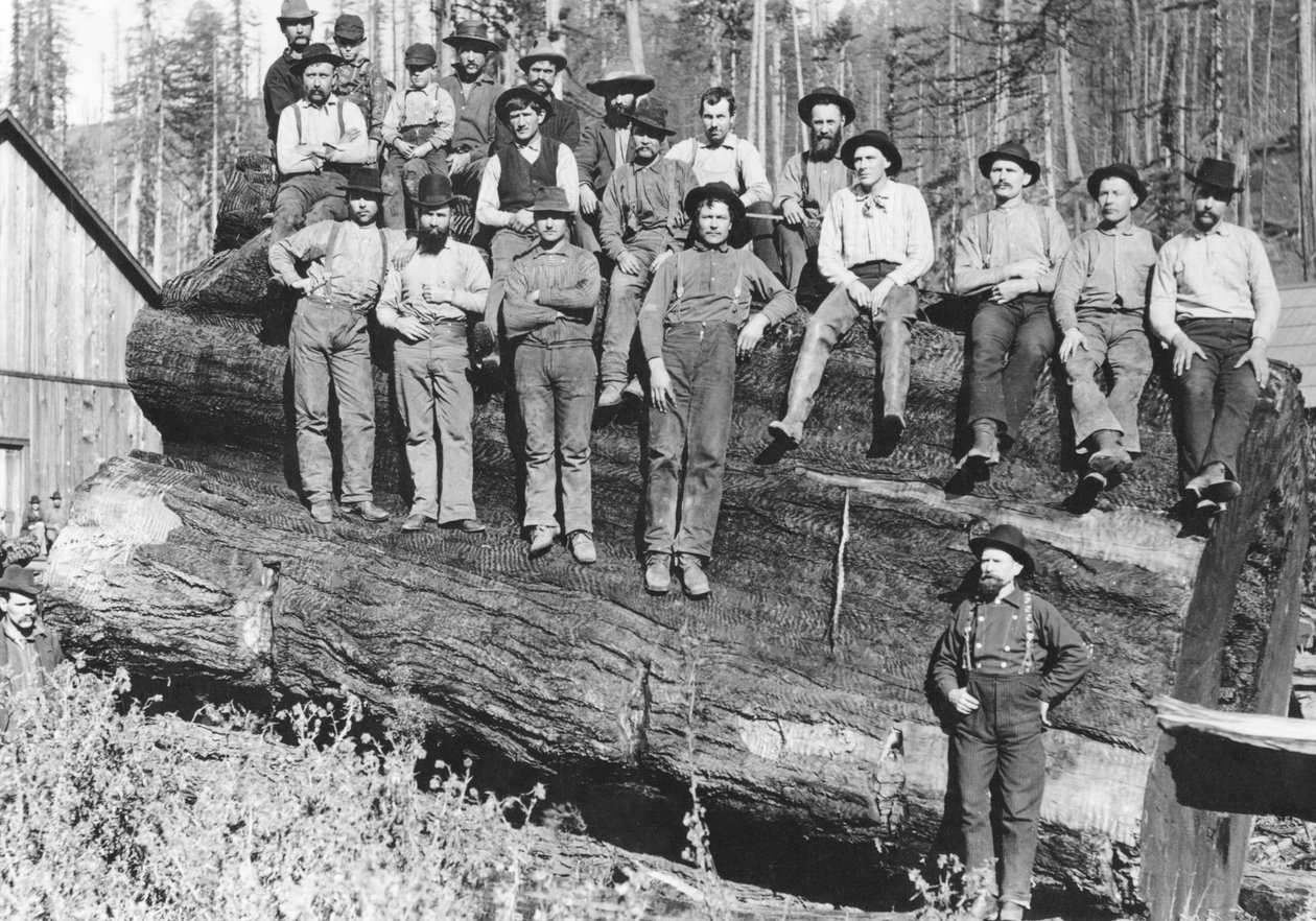 الحطابين في كاليفورنيا ، 1891 بواسطة مصور أمريكي