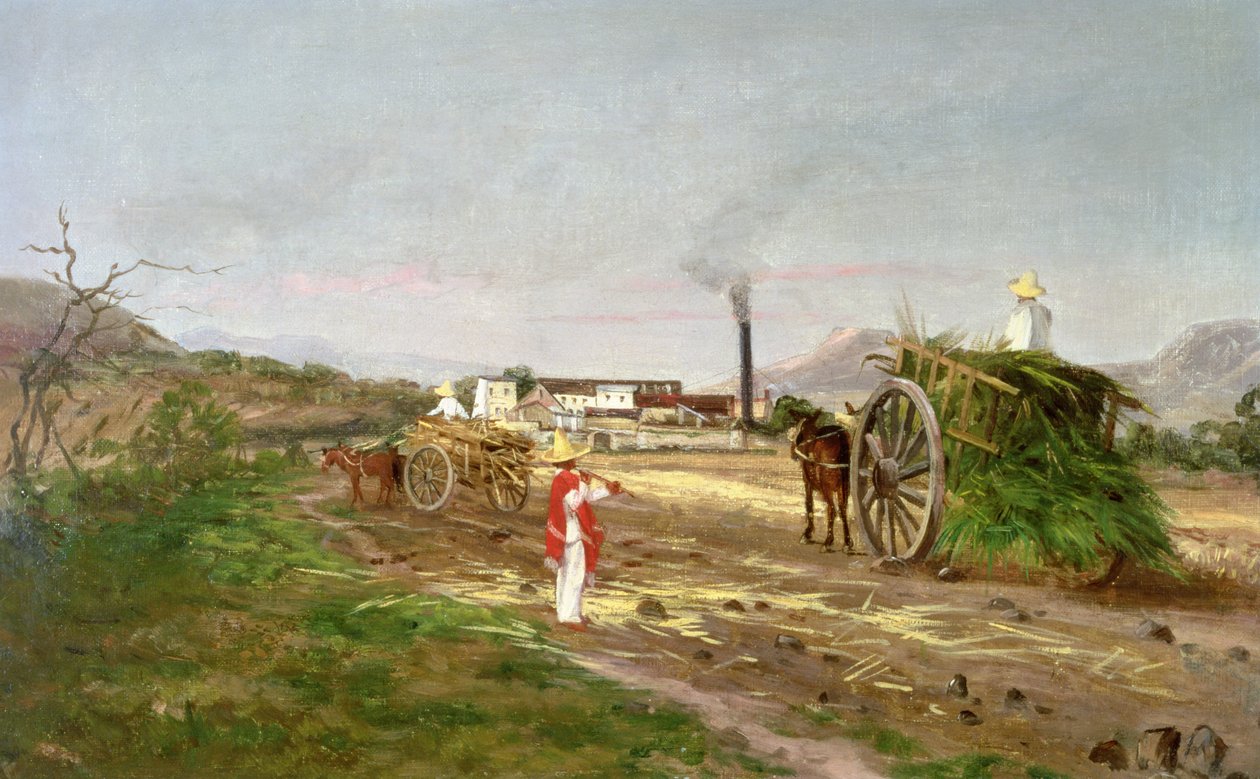 الفلاحون يجمعون قصب السكر ، أمريكا الوسطى ، c.1840 بواسطة المدرسة الأمريكية