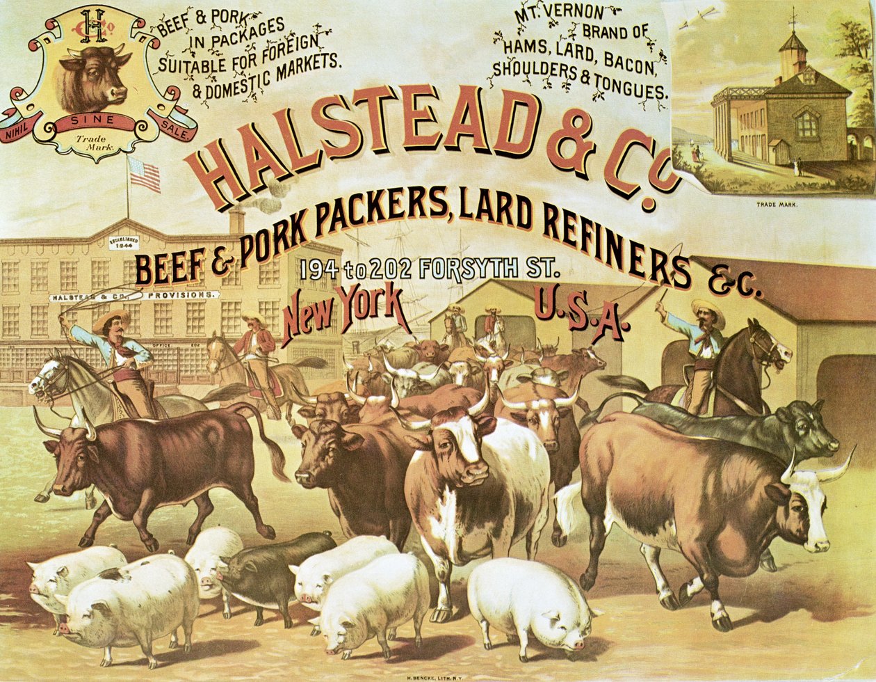 Beef & Pork Packers, c.1880 (colour litho) بواسطة مصور أمريكي