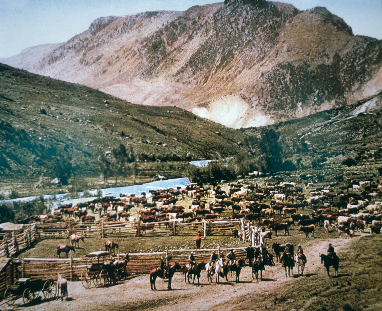 Cattle Ranch, Colorado بواسطة مصور أمريكي