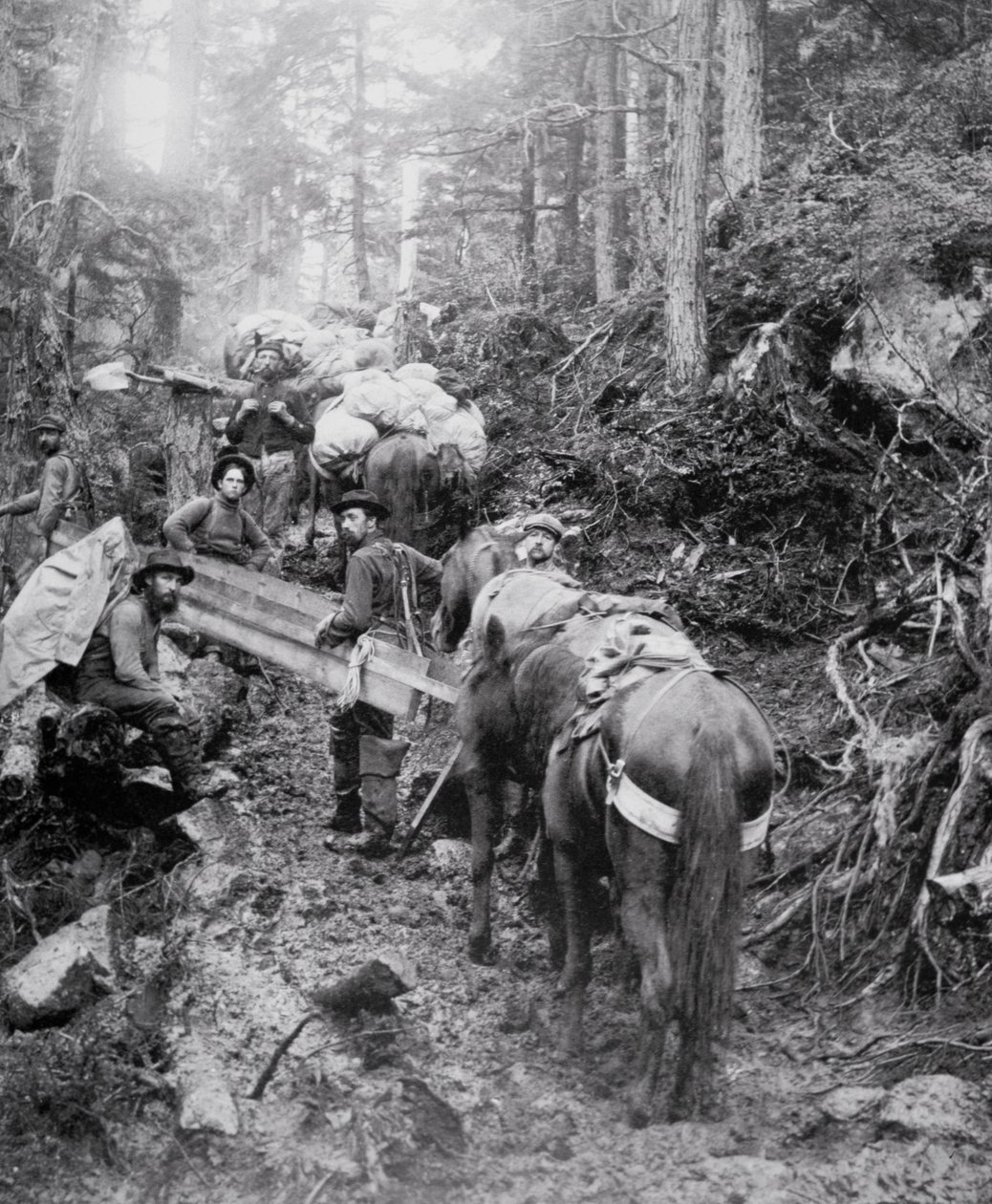 Climbing the Dyea Trail on the way to the Chilkoot Pass during the Klondike Gold Rush (1897-98) (b/w photo) بواسطة مصور أمريكي
