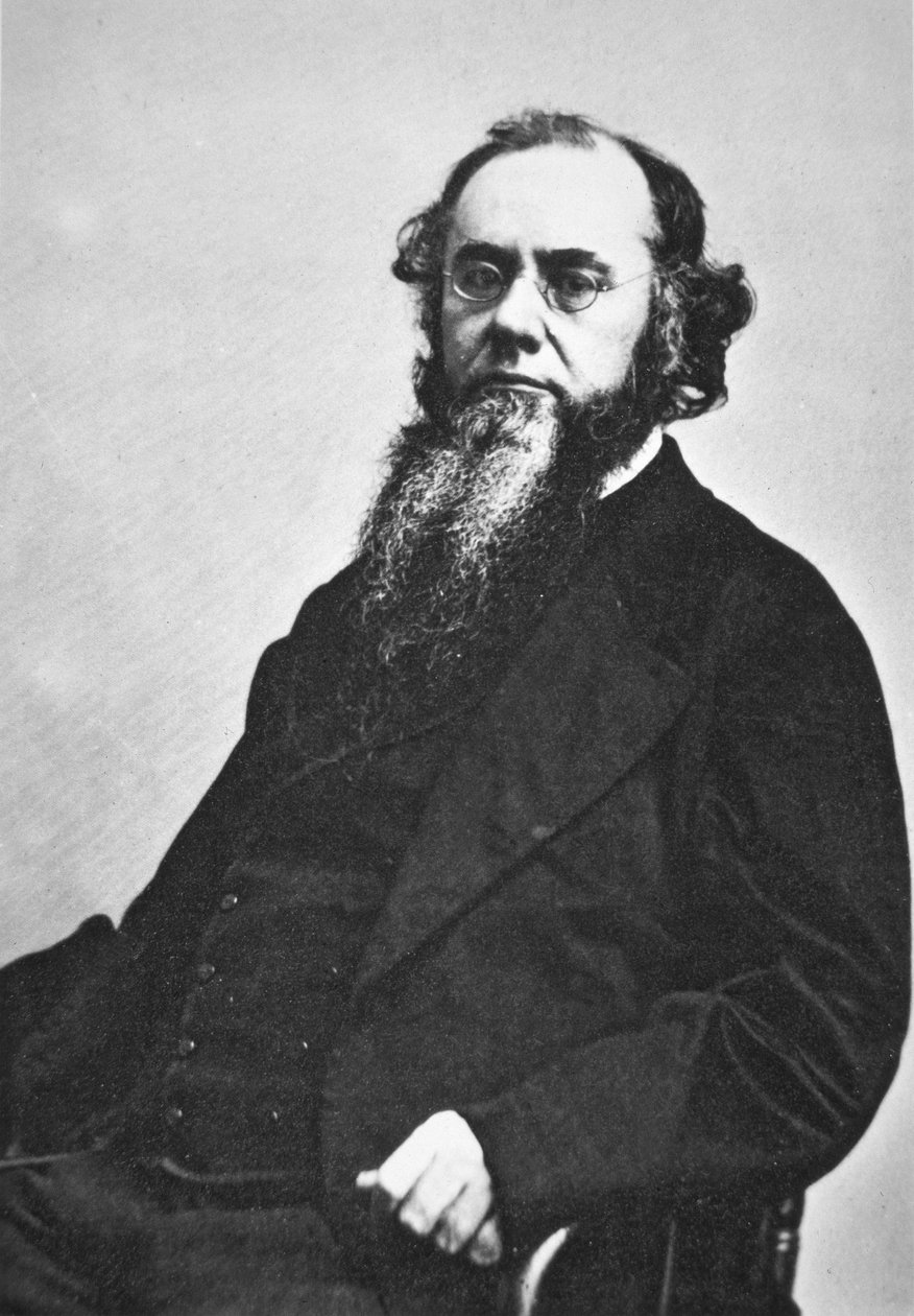 Edwin M. Stanton (1814-69) (b/w photo) بواسطة مصور أمريكي