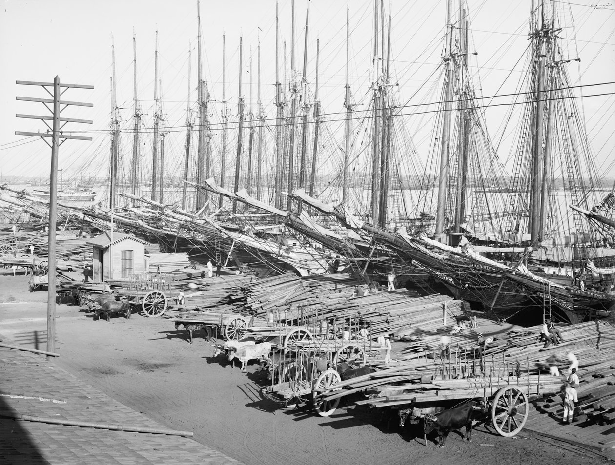 Muelle Tallapiedras ، هافانا ، c.1904 (b / w photo) بواسطة مصور أمريكي
