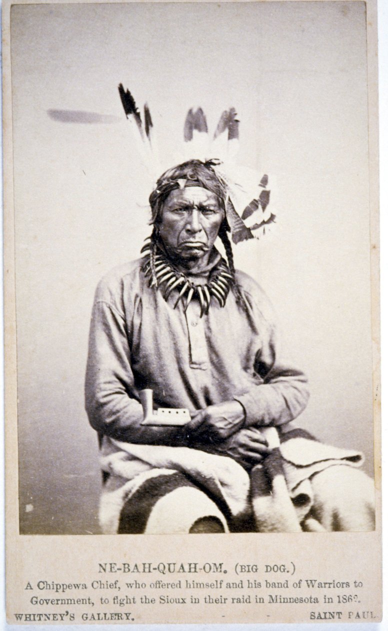 عرض NE-BAH-QUAH-OM ، Big Dog ، Chippewa Chief ، محاربة Sioux في مينيسوتا بواسطة مصور أمريكي