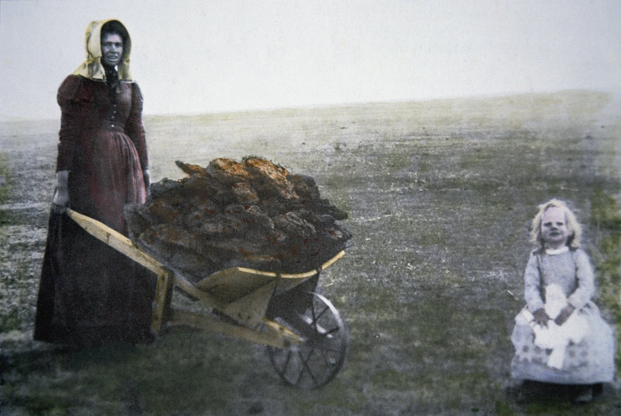 Pioneer woman collecting cattle dung, Kansas, c.1880 (coloured photo) بواسطة مصور أمريكي