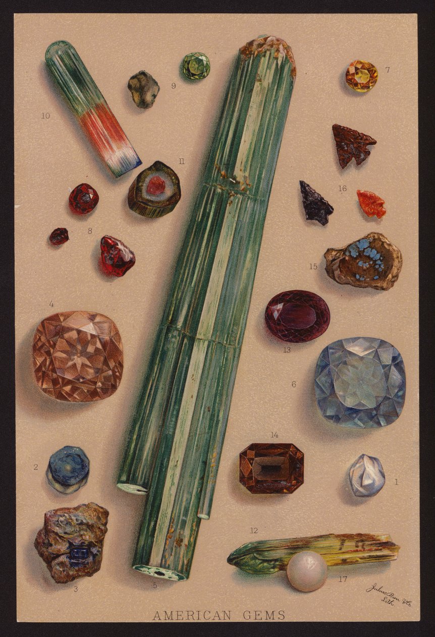  بواسطة المدرسة الأمريكية