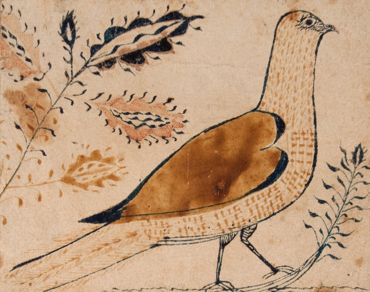 طائر بواسطة المدرسة الأمريكية