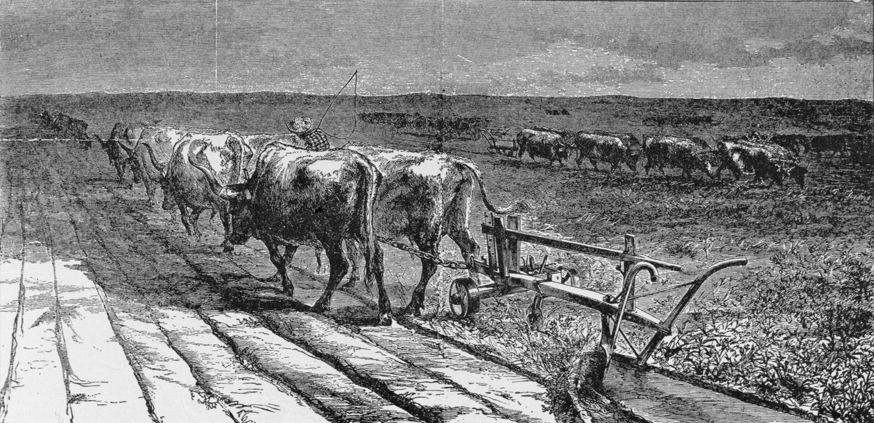 كسر البراري ، رسم توضيحي من "هاربر ويكلي" ، 1871 ، من "مسابقة أمريكا ، المجلد 3" ، بقلم رالف هنري غابرييل ، 1926 بواسطة المدرسة الأمريكية