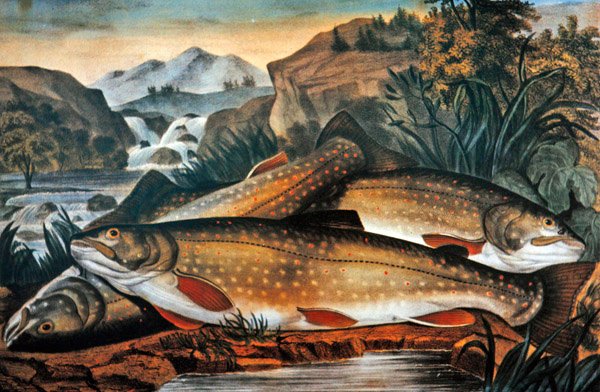 Brook Trout- Just Caught ، نشرته Currier & Ives ، حوالي 1870 (لون ليثو) بواسطة المدرسة الأمريكية