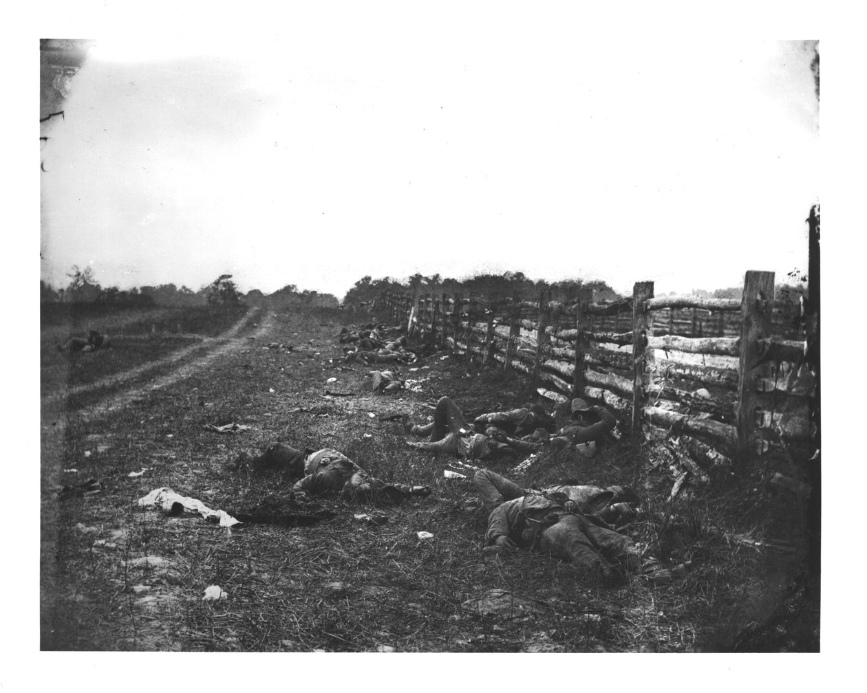 الميت الكونفدرالي على طول الجانب الغربي من Hagerstown Pike ، معركة Antietam ، 19 سبتمبر 1862 بواسطة المدرسة الأمريكية