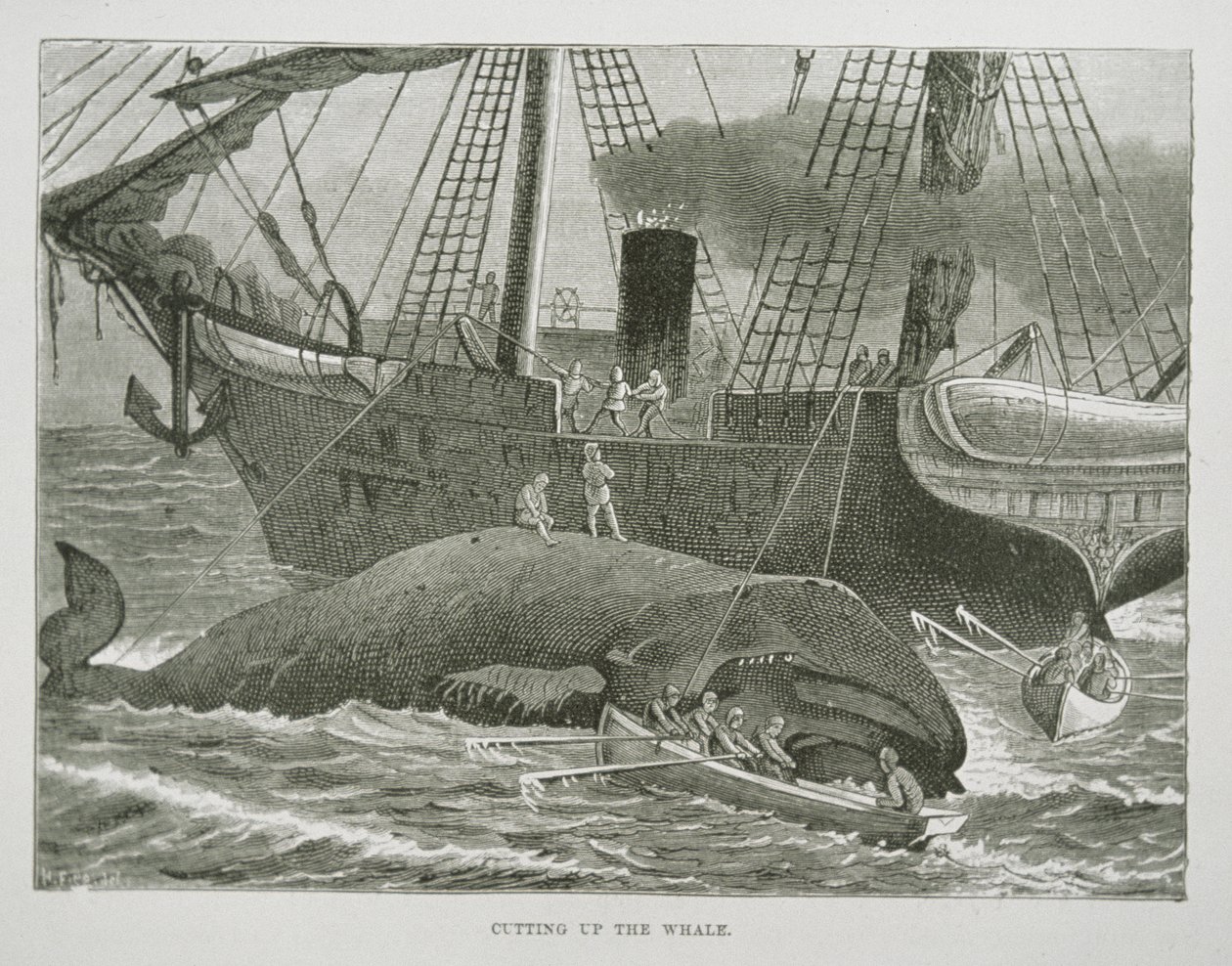 Cutting up the Whale, from The American Whale Fishery, c.1850 (engraving) بواسطة المدرسة الأمريكية