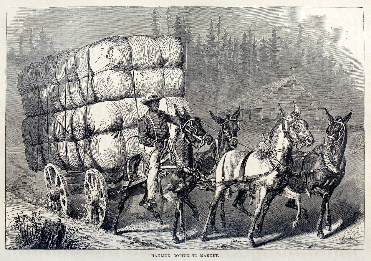 نقل القطن إلى السوق ، من مائة عام من التقدم في الولايات المتحدة ، حانة. 1871 إنجرافين بواسطة المدرسة الأمريكية