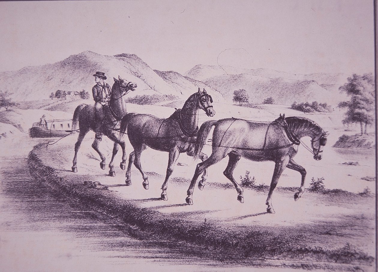 Horses pulling a canal boat on Erie Canal (engraving) بواسطة المدرسة الأمريكية