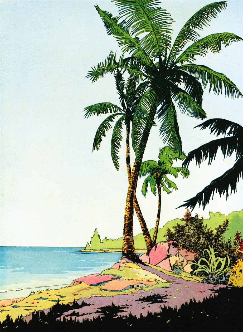 Illustration of Beach Paradise with Palm Trees بواسطة المدرسة الأمريكية